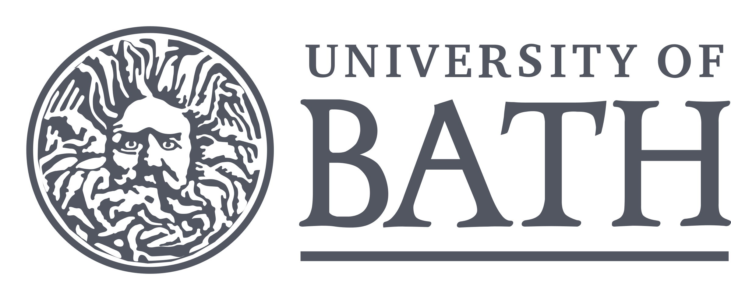 university-of-bath-logo-png-transparent